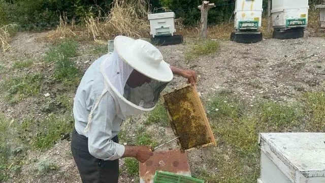 Mustafakemalpaşa’dan Avrupa’ya Uzanan 50 Yıllık Bal Emeği